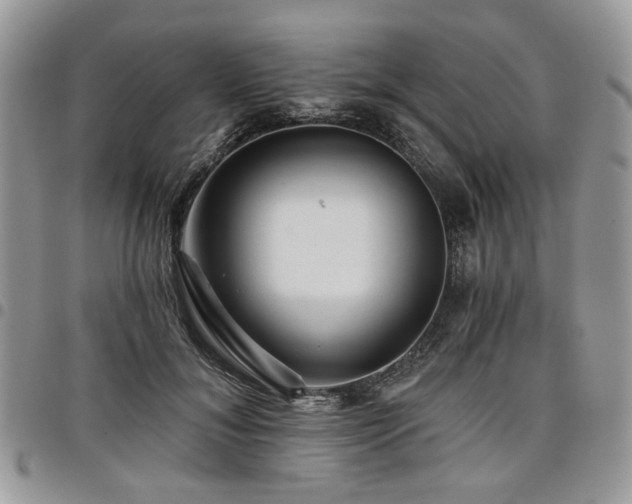 X0000098010700200803281312