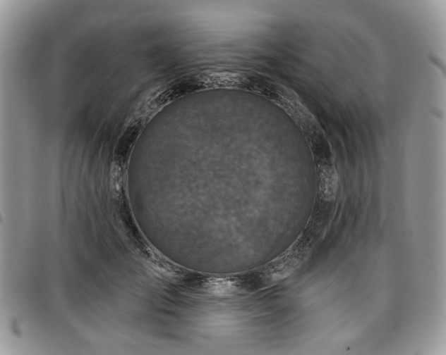X0000098010701200803281312