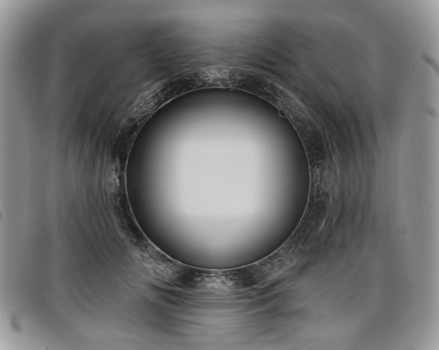 X0000098010702200803281312