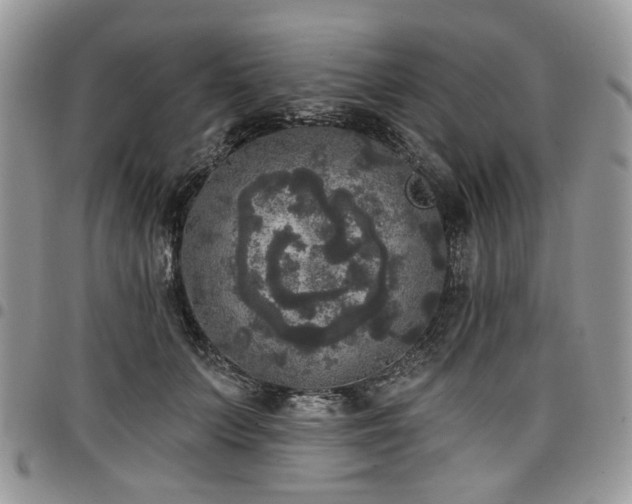 X0000098010703200803281312