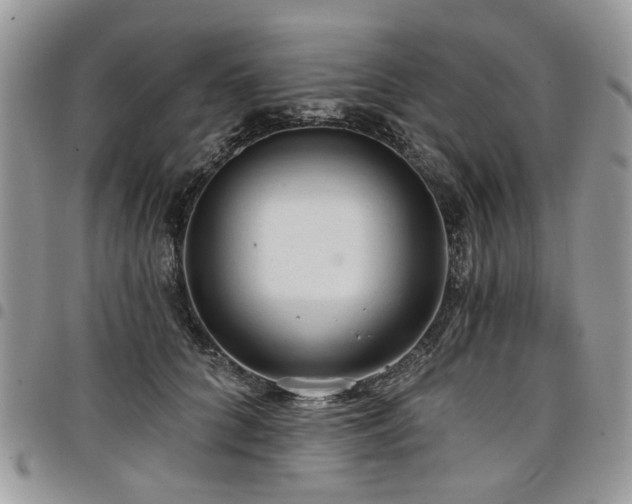 X0000098010704200803281312