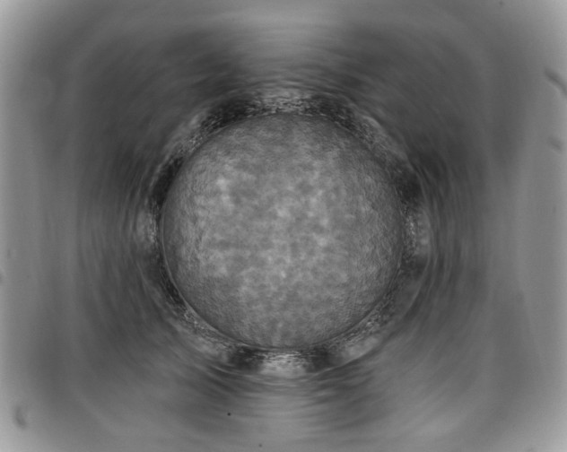 X0000098010705200803281312