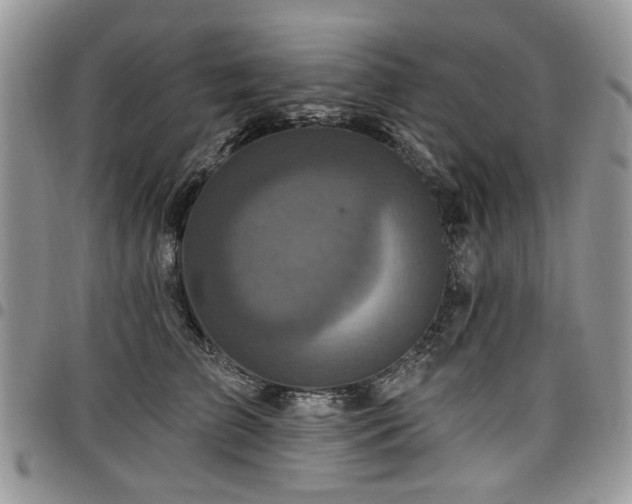 X0000098010709200803281312