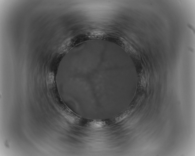 X0000098010711200803281312