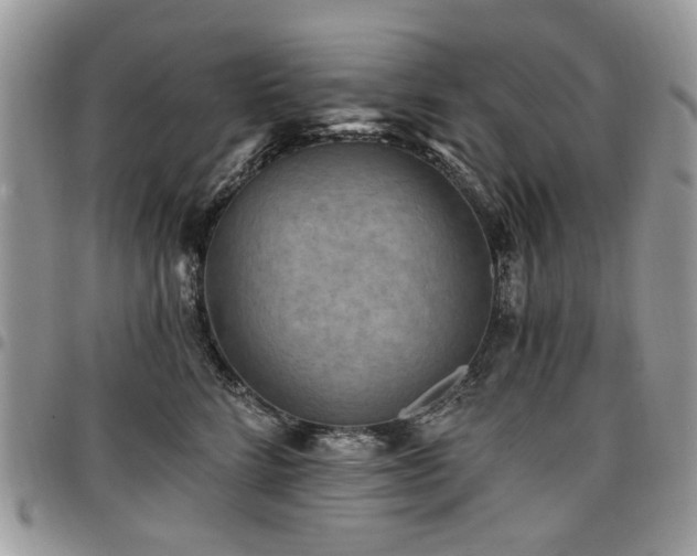 X0000098010712200803281312