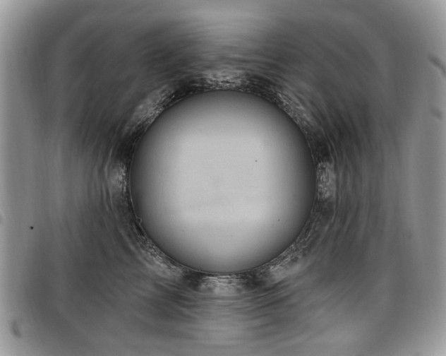 X0000098010713200803281312