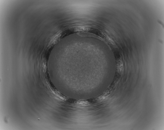 X0000098010716200803281312