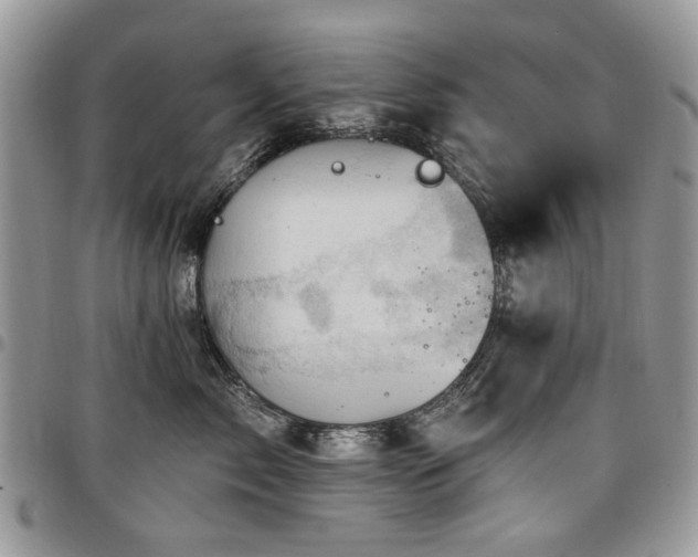 X0000098010717200803281312