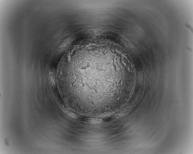 X0000098010719200803281312