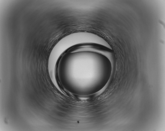 X0000098010720200803281312
