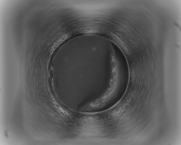 X0000098010721200803281311