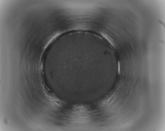 X0000098010723200803281311