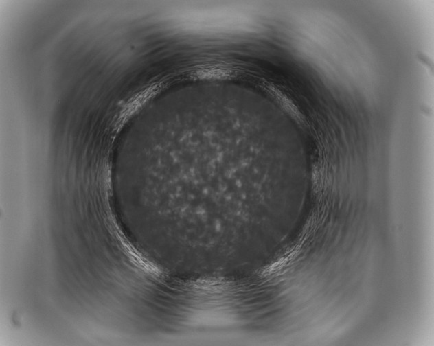 X0000098010725200803281311