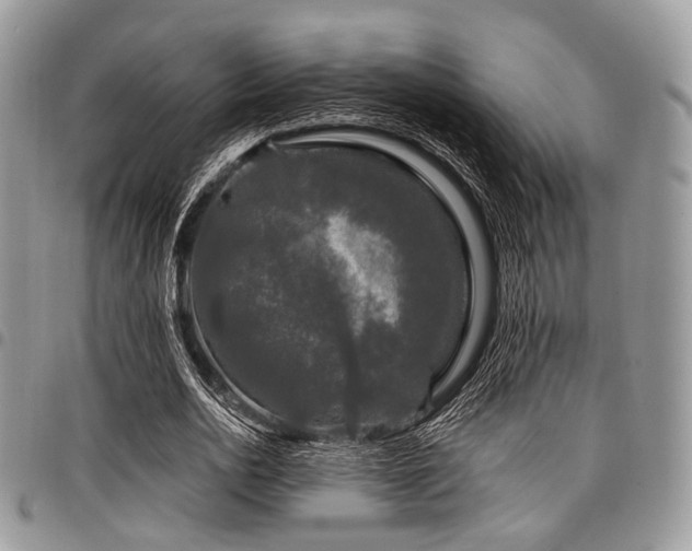 X0000098010726200803281311