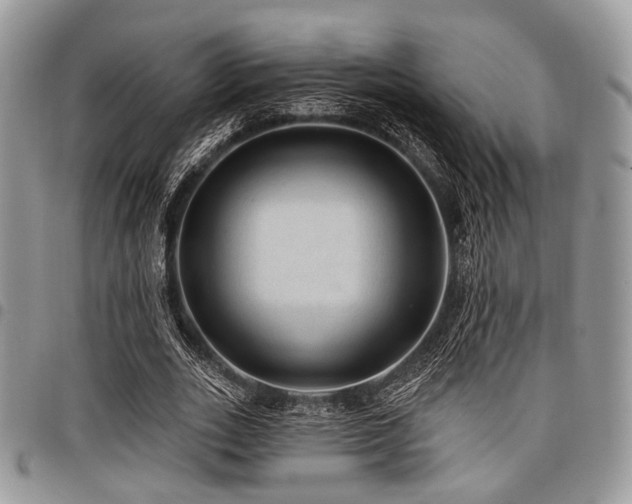 X0000098010727200803281311