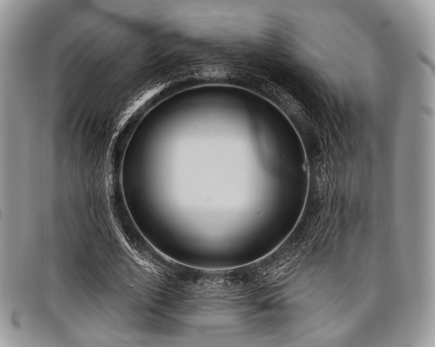 X0000098010728200803281311