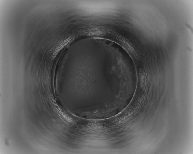 X0000098010729200803281311