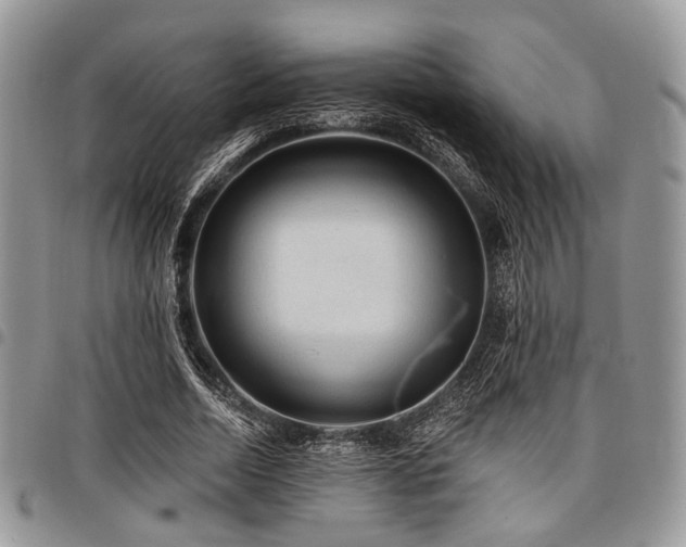 X0000098010730200803281311