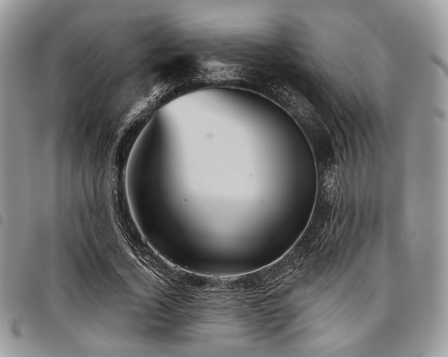 X0000098010732200803281311