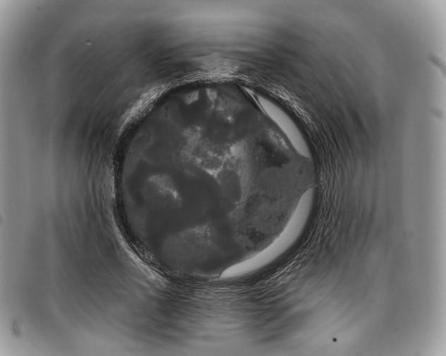 X0000098010734200803281311