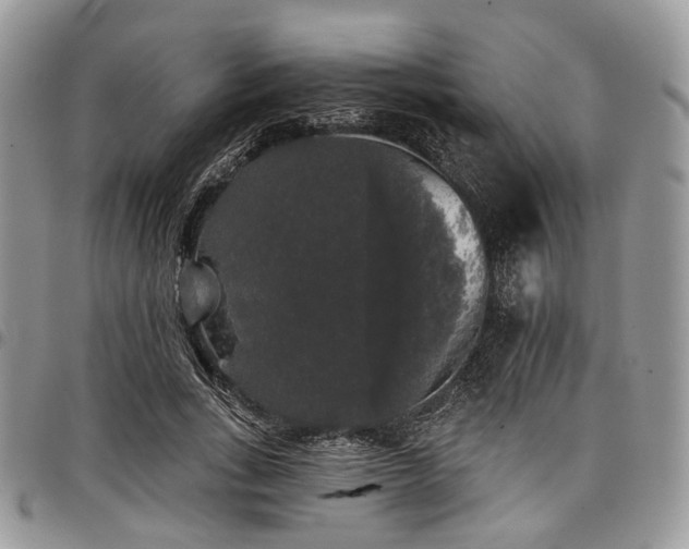 X0000098010735200803281311