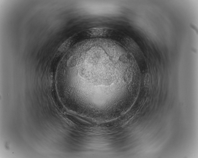 X0000098010737200803281311