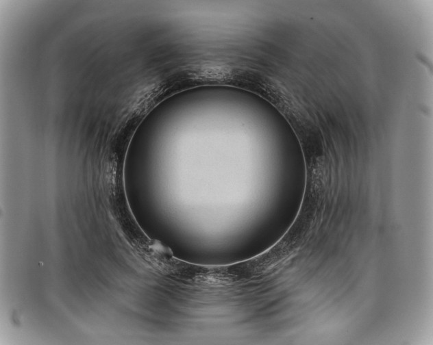 X0000098010739200803281311