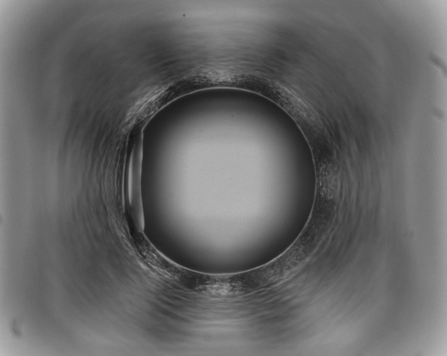 X0000098010740200803281311