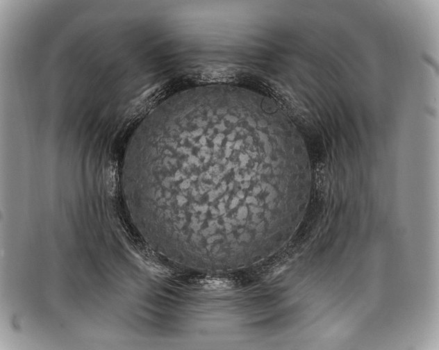 X0000098010741200803281311