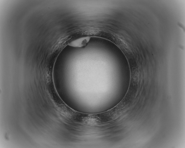 X0000098010743200803281311