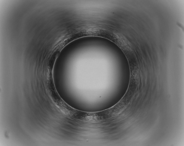 X0000098010744200803281312