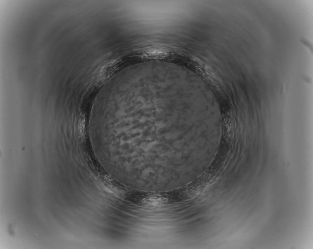 X0000098010745200803281312