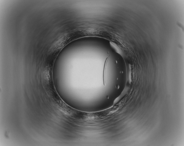 X0000098010746200803281312