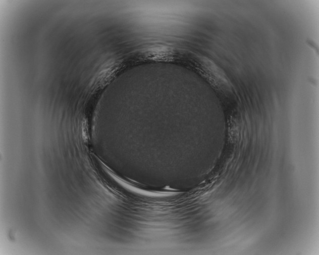 X0000098010748200803281312