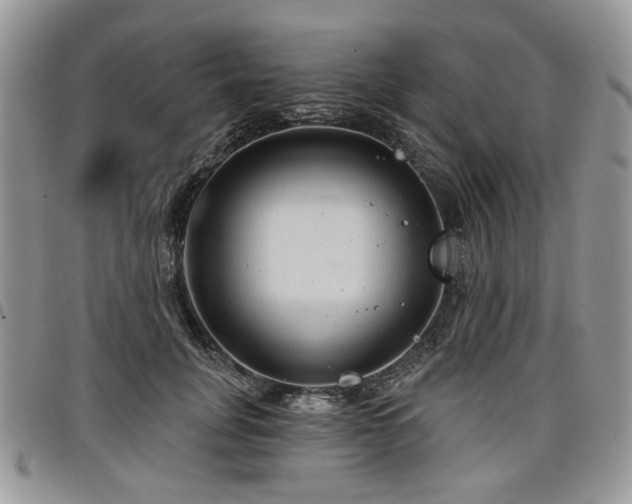 X0000098010751200803281312