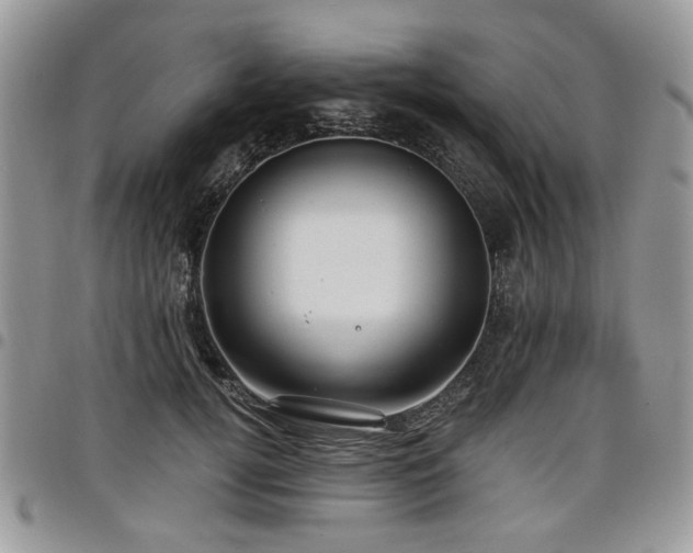 X0000098010752200803281312