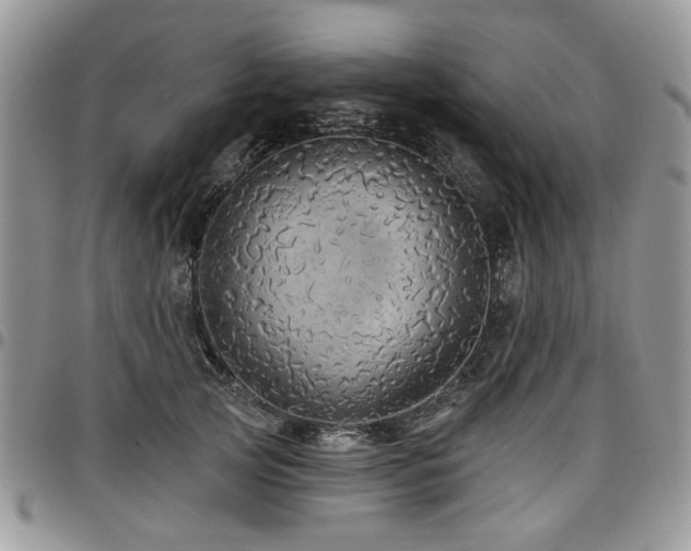 X0000098010753200803281312