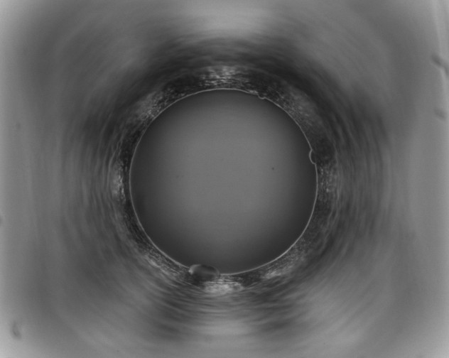 X0000098010754200803281312