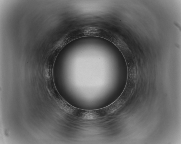 X0000098010755200803281312