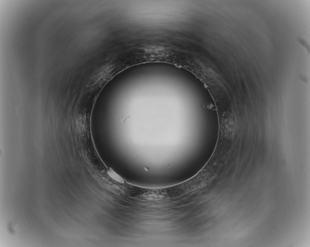 X0000098010756200803281312