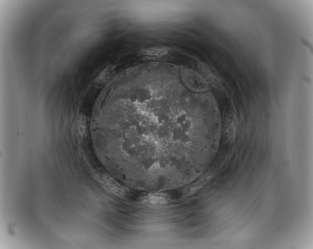 X0000098010758200803281312