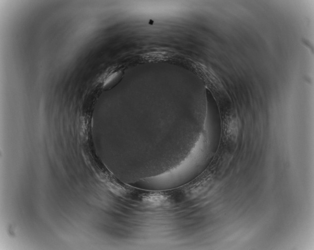 X0000098010759200803281312