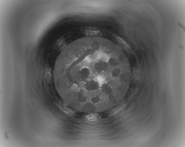 X0000098010761200803281312
