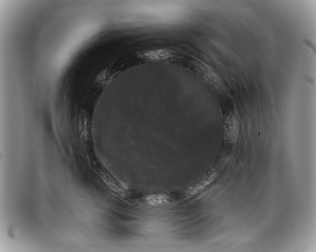 X0000098010762200803281312