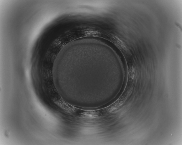 X0000098010763200803281312