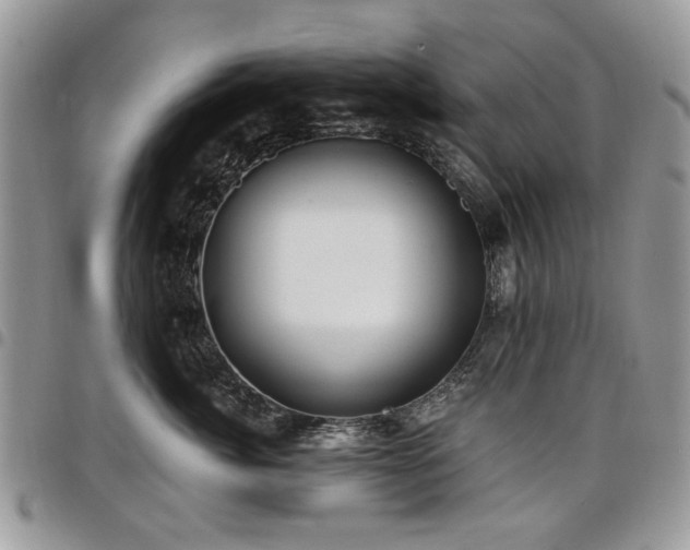X0000098010764200803281312