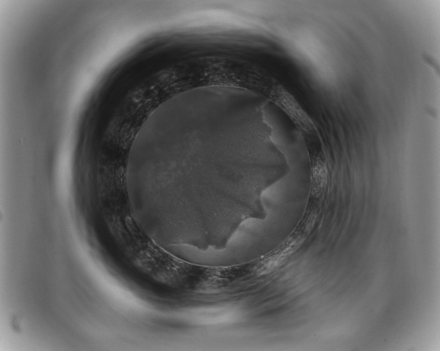 X0000098010765200803281312