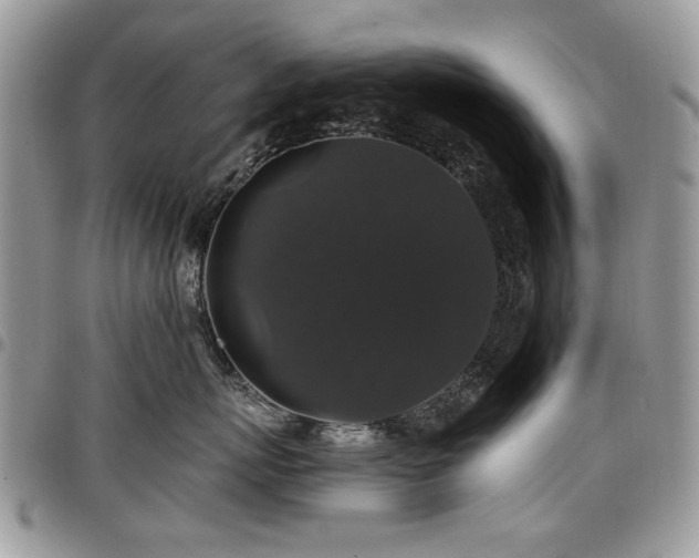 X0000098010767200803281312