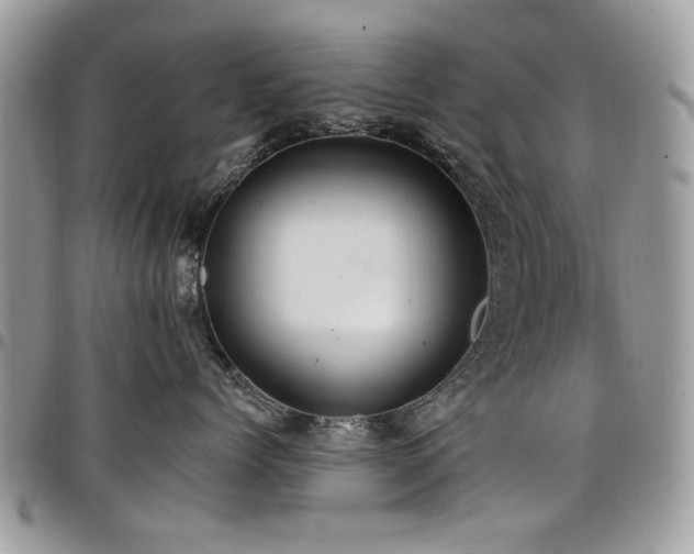 X0000098010768200803281312