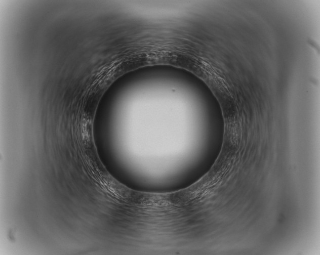 X0000098010770200803281311